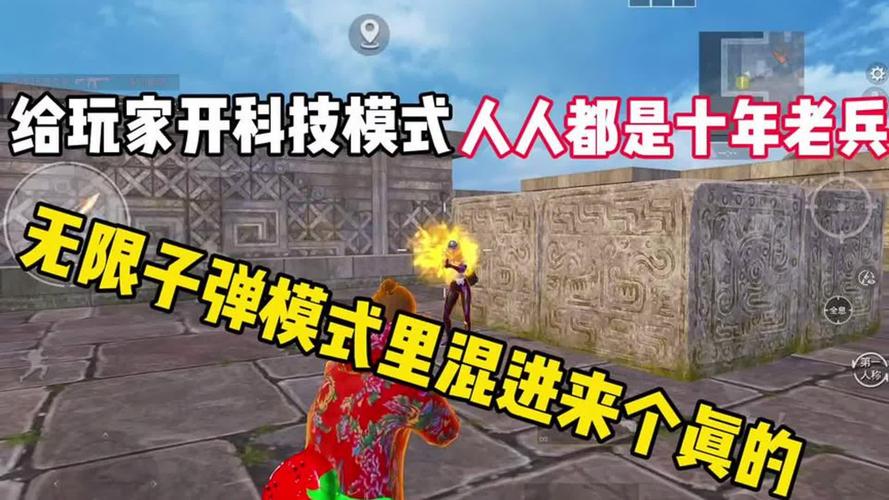 手机用外设玩和平精英需要什么软件辅助